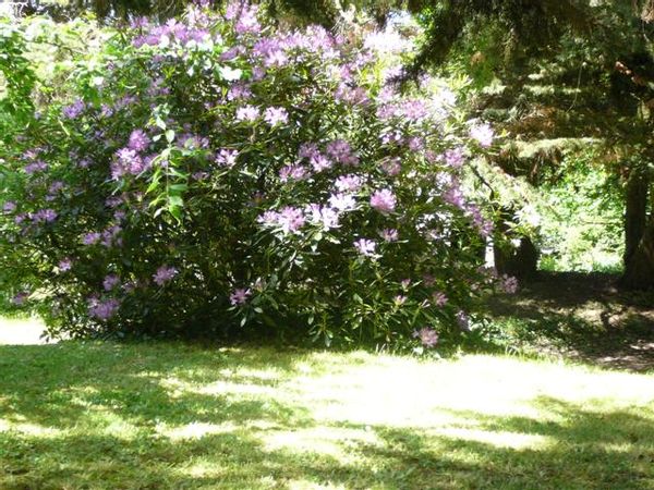 La maison de Etienne