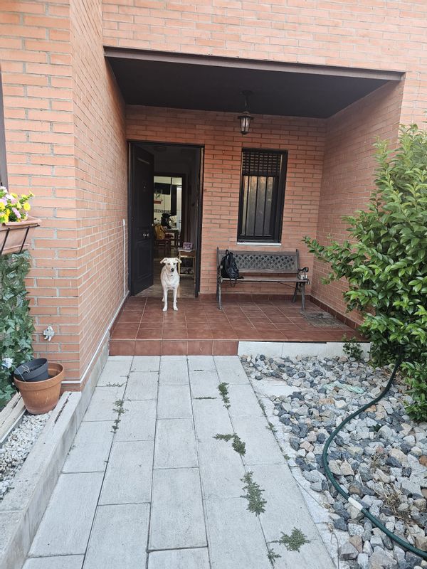 Thiago Exequiel's house
