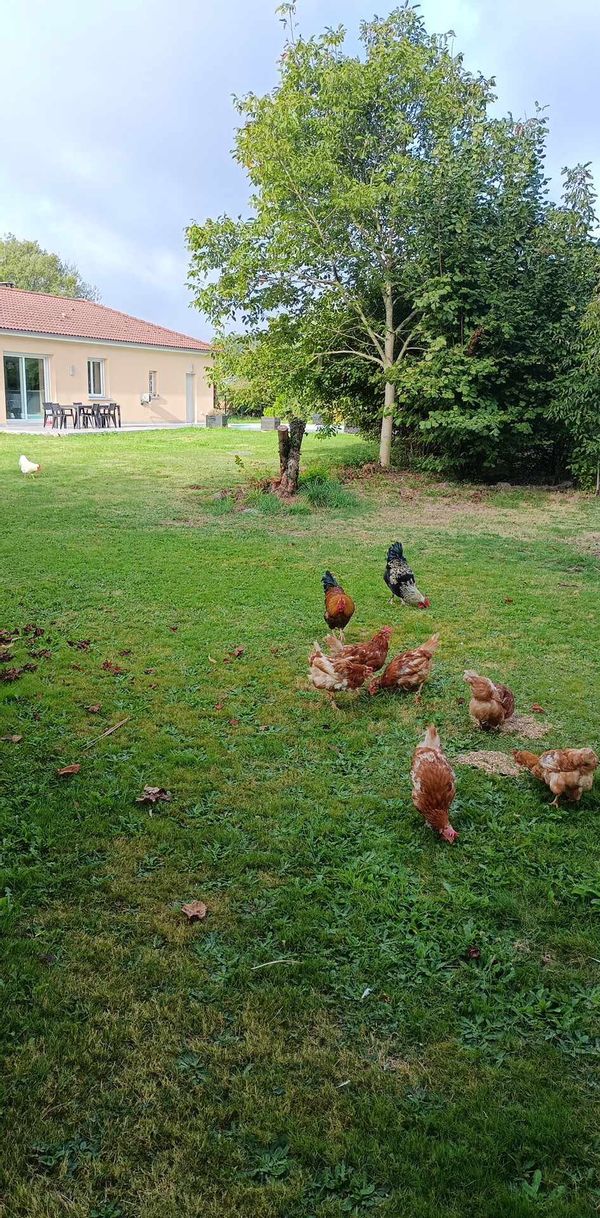 La maison de Rachid