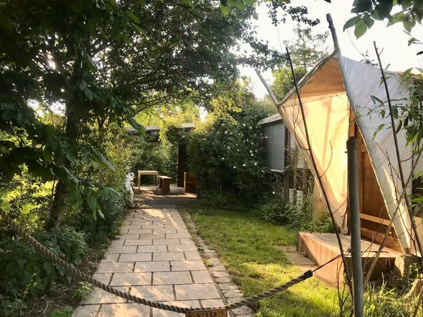 TinyHouse set in nature