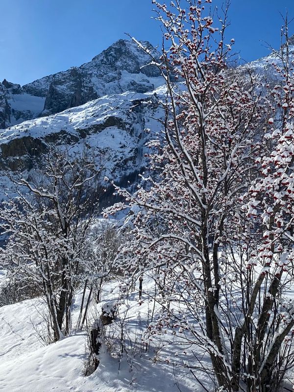 Arsine jolie maison de montagne