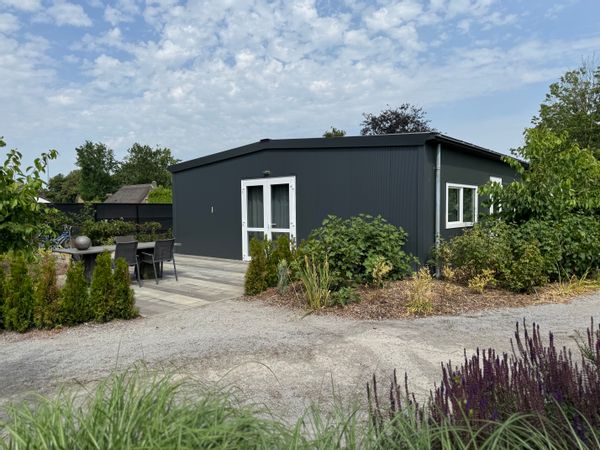 huis van Buddy