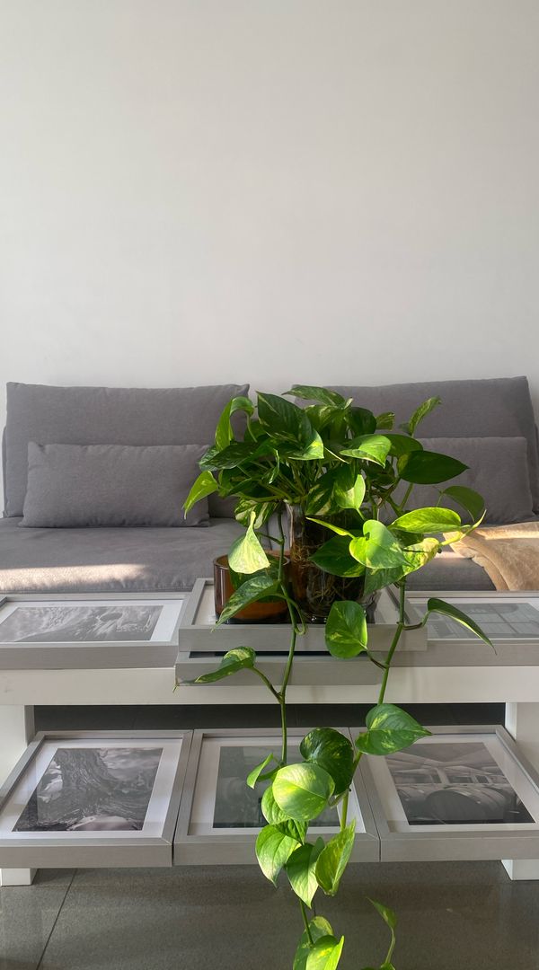 La maison de Daniela