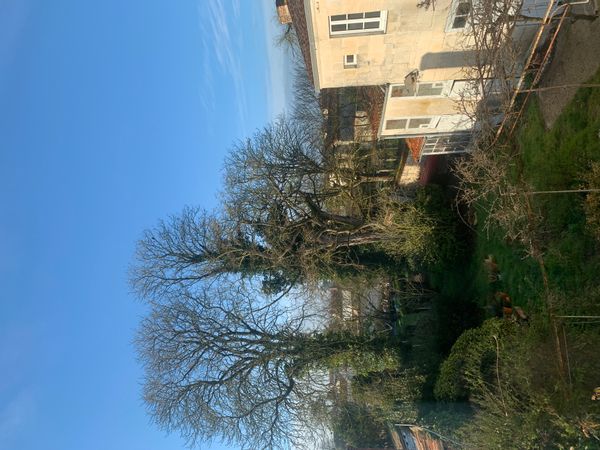 Casa di Carine & Thomas