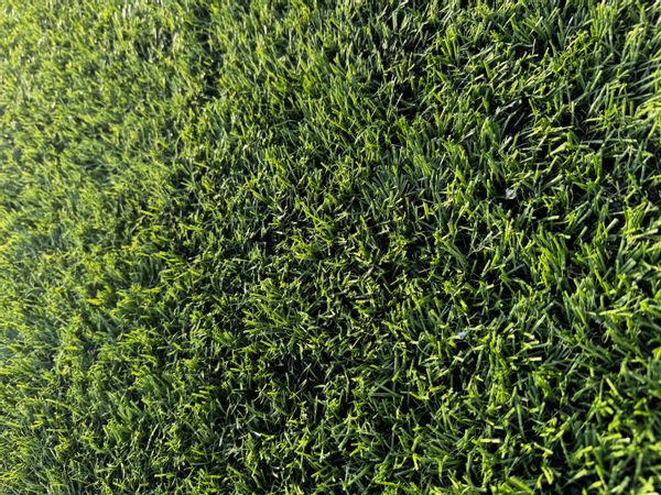 La chambre privée de Raja