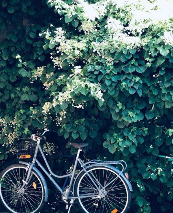Characteristic terraced house close to Stockholm city