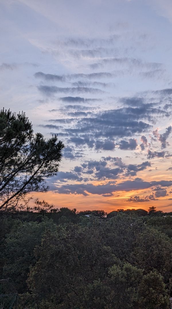 Bienvenue chez Joanne & Jean-Seb en Drôme provençale !