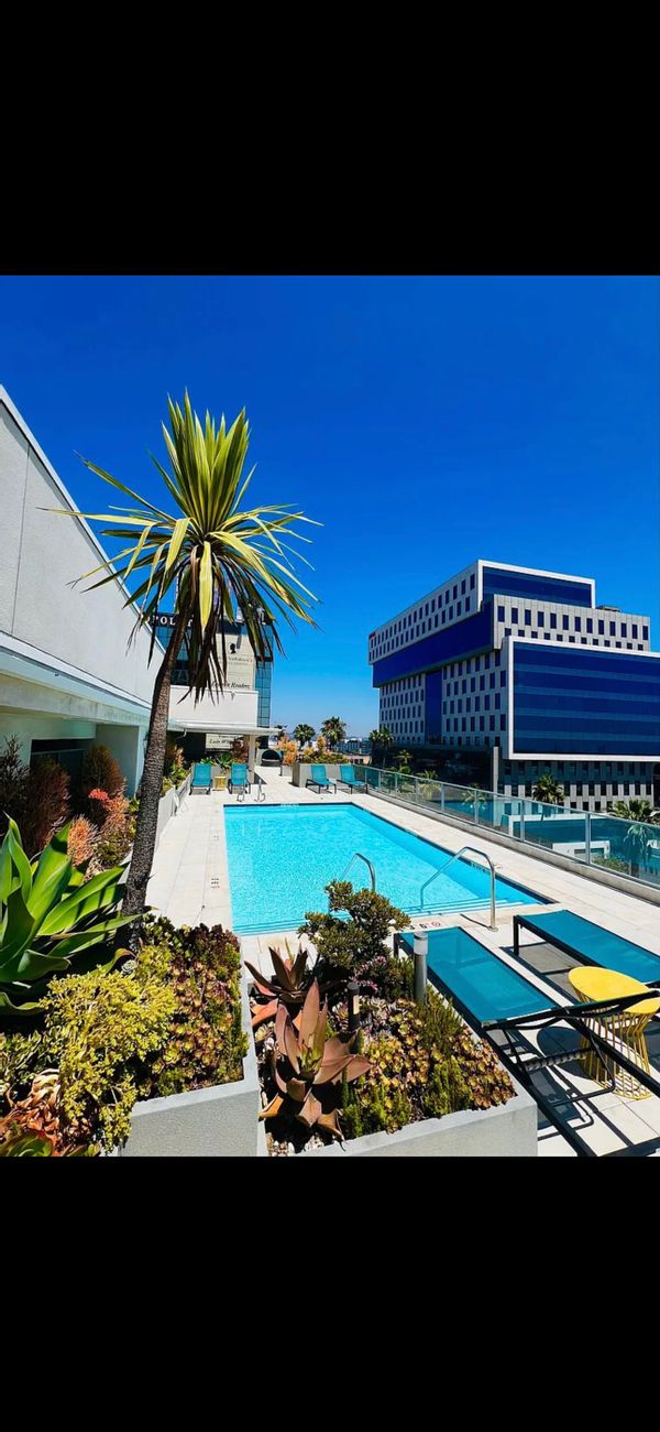 Brand new 2 bed 2 bath Hollywood
