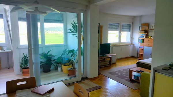 Cozy apartment with mountain view