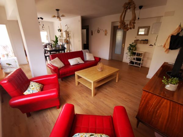 Sofía's house