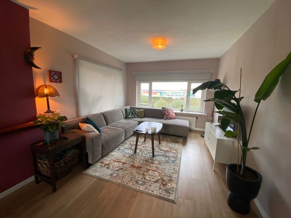 Simone and Roenik's house