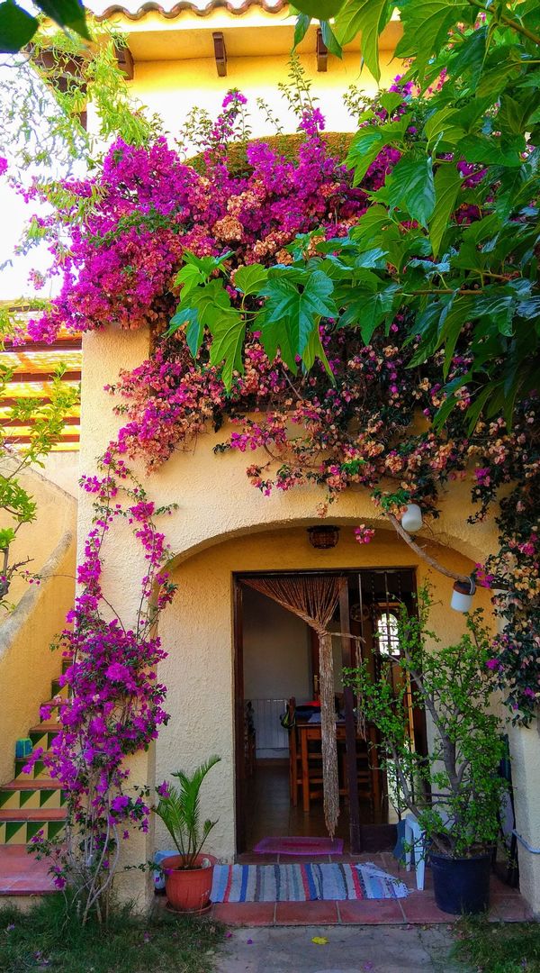 Esther's house