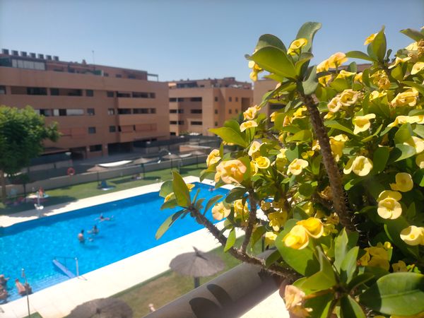 Monti's house
