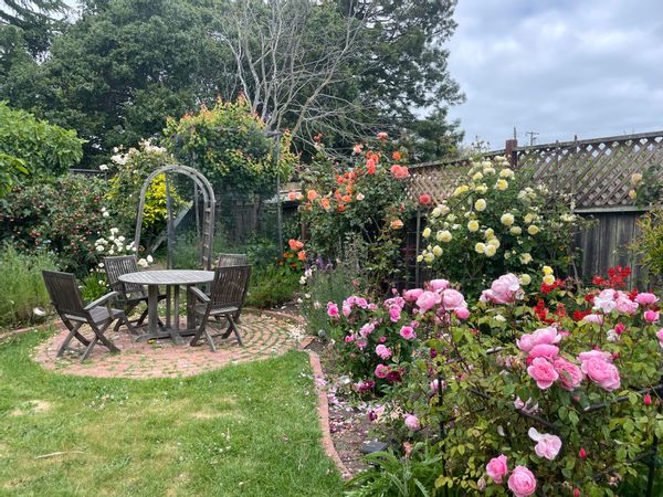 Beautiful, spacious North Berkeley home with charming garden, hot tub and yoga studio