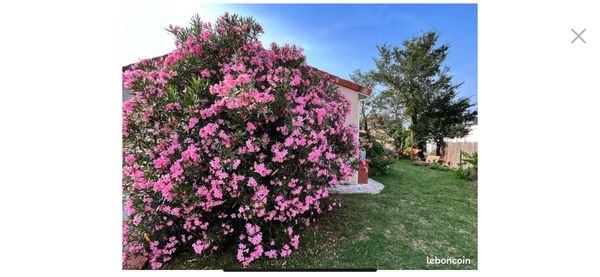La maison de Eleonore