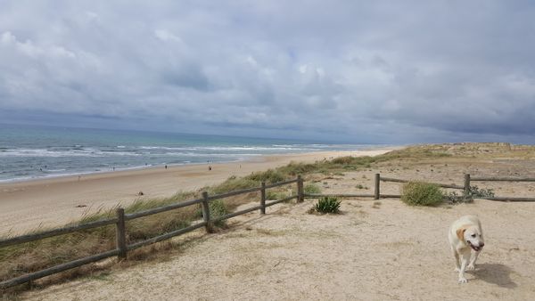 Chalet dans parc residentiel dans les landes-minimum deux nuits.