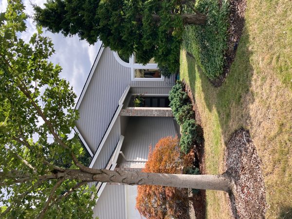 Janet's house