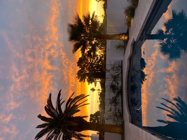 Arizona Oasis