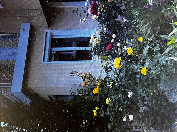 Annie's house