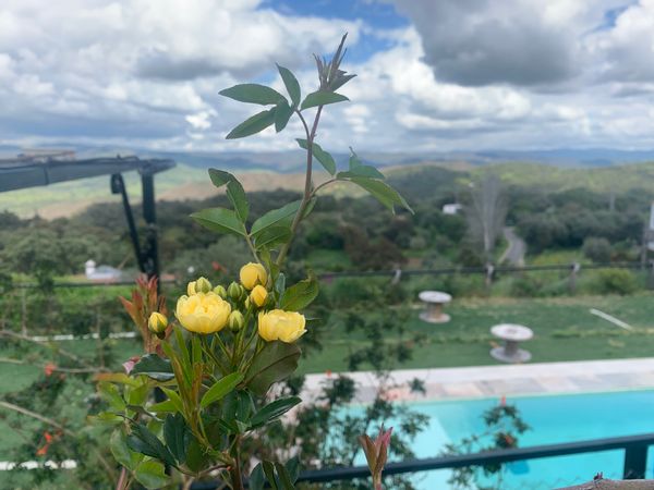 La maison de Eduardo