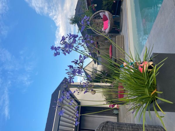 La maison de Stephanie