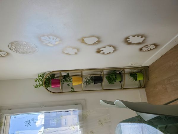 Cindy's house