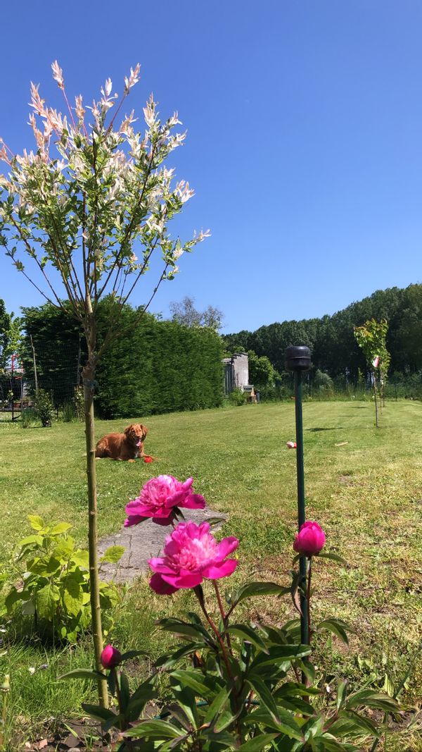 La maison de Margaux