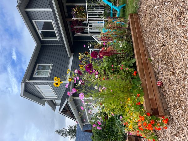 Mountain lifestyle in Golden B.C.