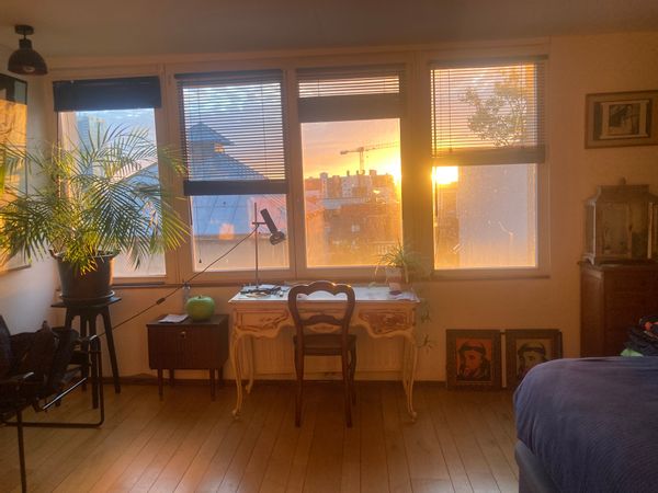 Casa de David