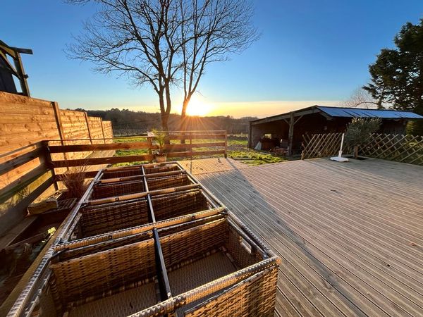 Cocoon de Camille & Dylan