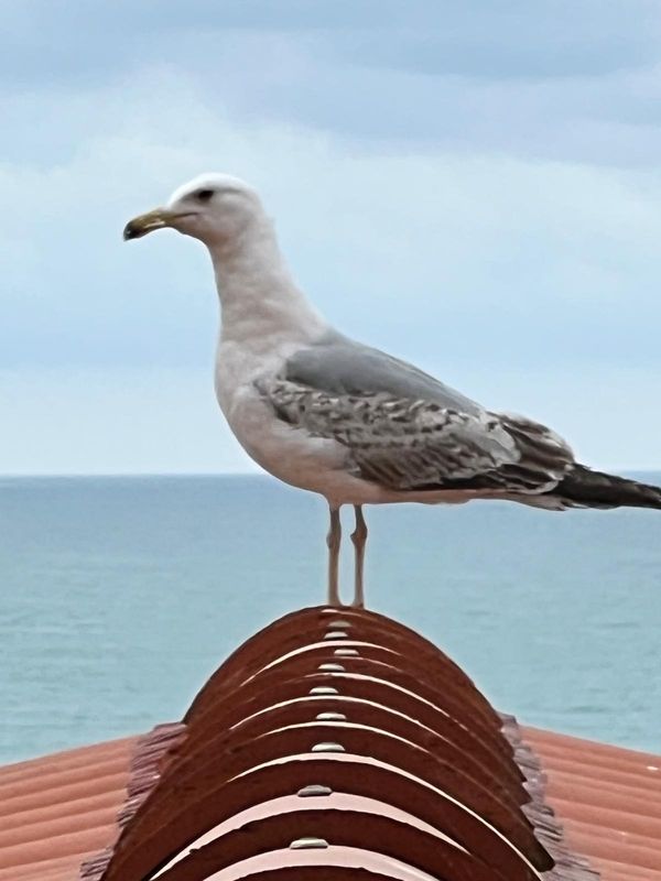 Les pieds dans l'eau !