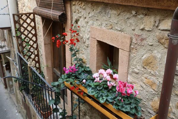 Sleeping In The Stable's house