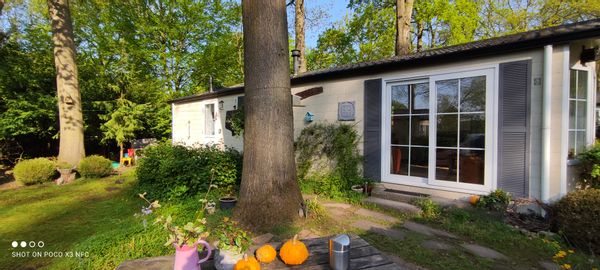 Zuzana's forest house Wageningen
