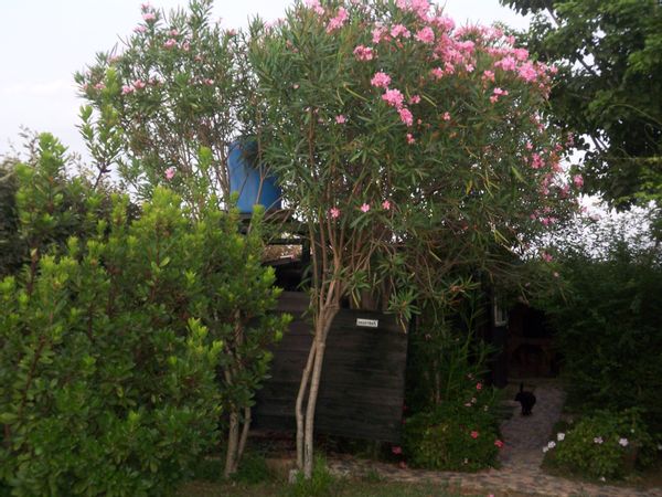 madinier's house