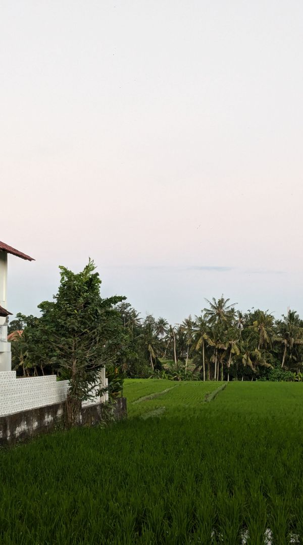 Sunrise view villa in perfectly located Bali  surf village