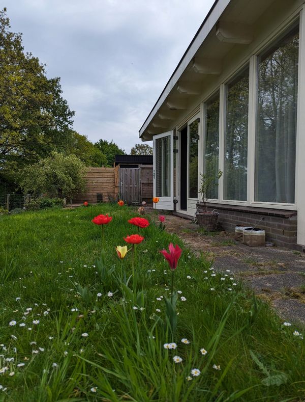 Lovely home close to Utrecht