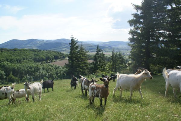 La maison de Sandrine