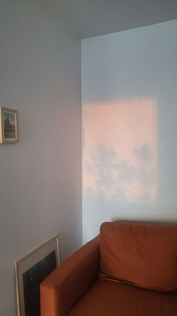 Marie's house