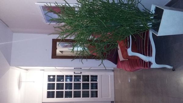 La maison de ST BARTHELEMY D ANJOU