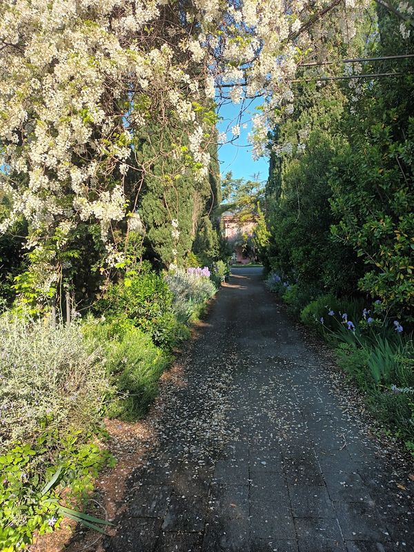 La maison de Daniele