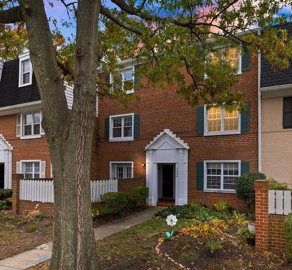Stephania's artistic sanctuary in the heart of Arlington, VA