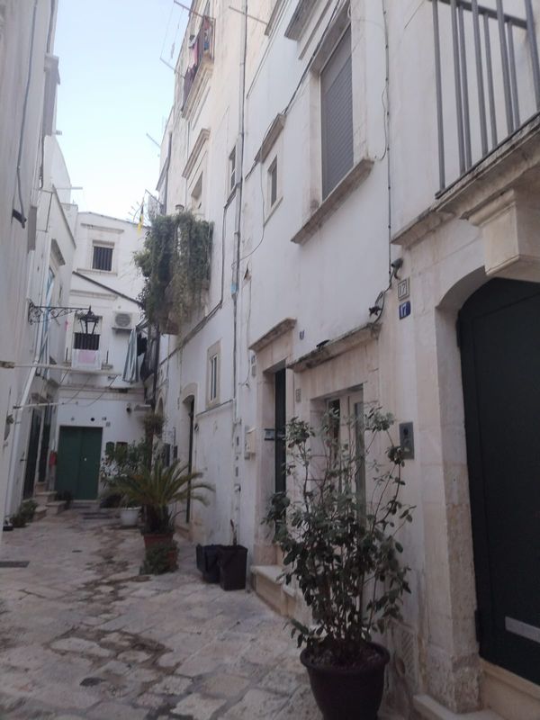 Antonia's house