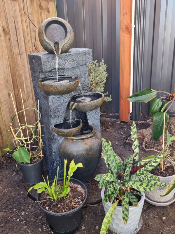 Vicki's Oasis