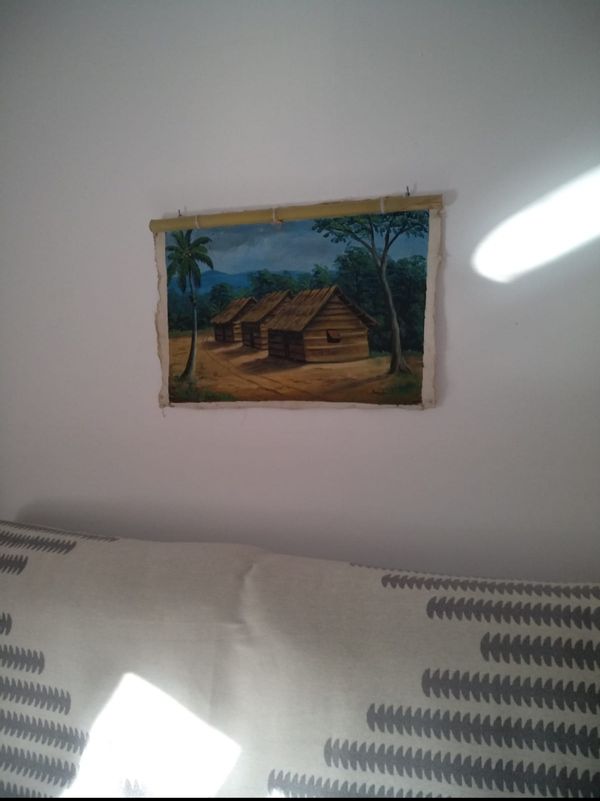 Amelia's house
