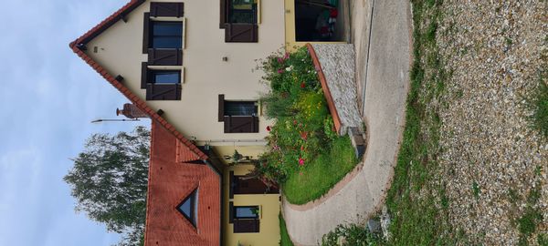 Casa de Dmitri