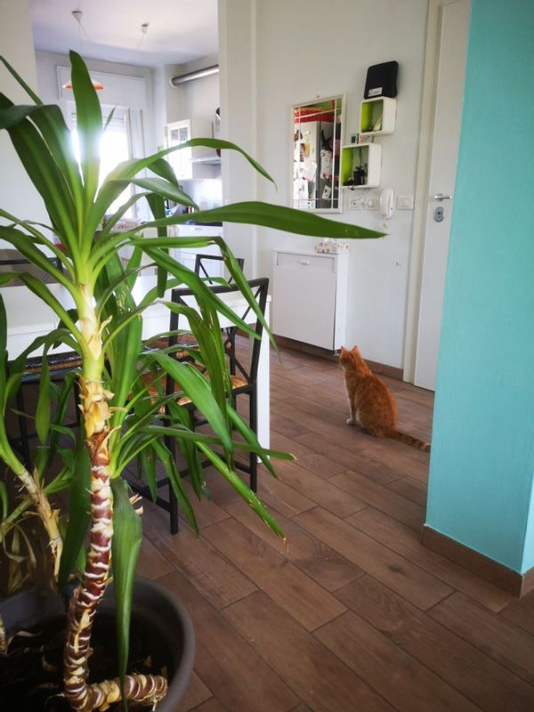 La maison de Maddalena