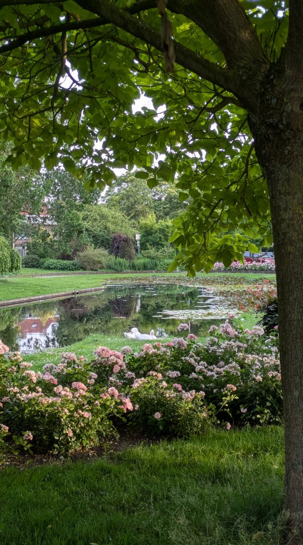 Utrecht Spacious & Serene Home