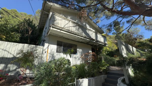 Fern house.