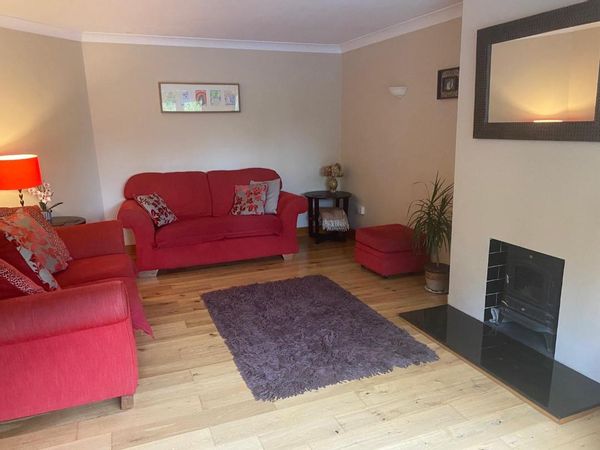 Spacious & comfortable house 30 mins from Dublin city-centre