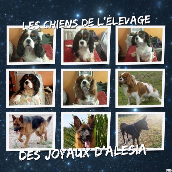 La maison de Nathalie